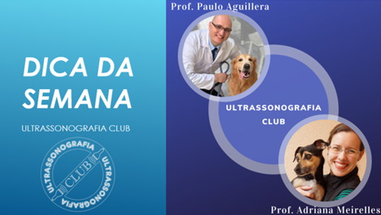 Dica da Semana Ultrassonografia Club