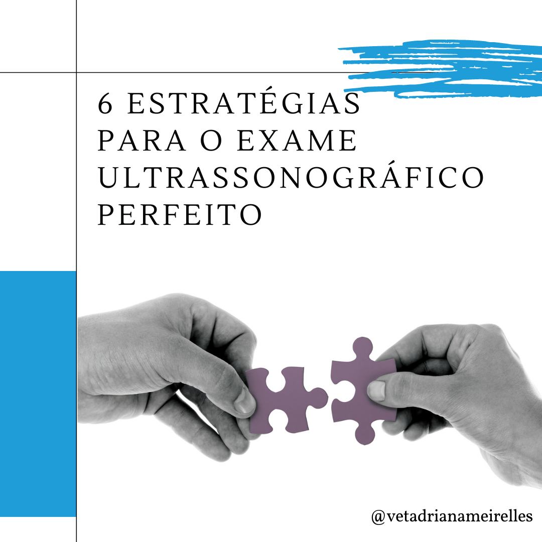 6 ESTRATÈGIAS PARA O EXAME ULTRASSONOGRÁFICO PERFEITO